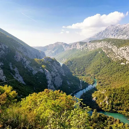 Tela * Kučiće